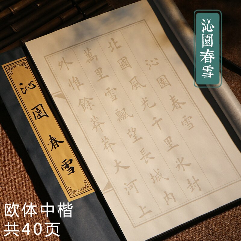 Classical Chinese Character Calligraphy Copybook Soft Brush Calligraphie Book Beginner Chinese Calligraphy Practice Copybooks: N