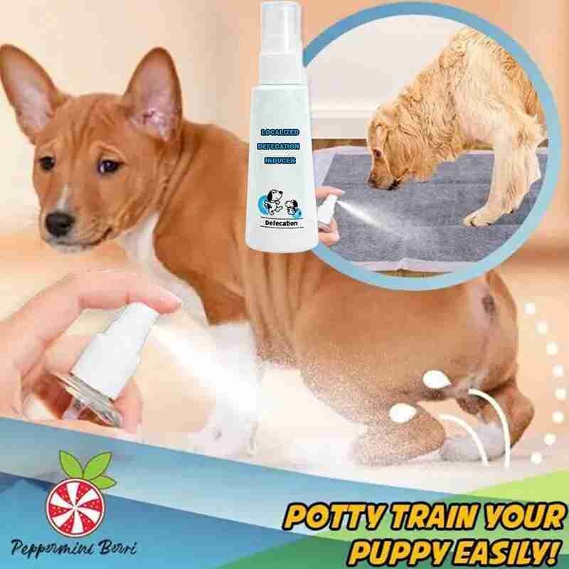 60 Ml Hond Specifieke Ontlasting Inductor Potje Puppies Positionering Regelmatige Huisdieren Vloeibare Lokstof Pee Training Wc Tool Spra N3N3