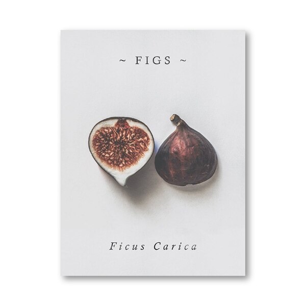 Farmhouse Kitchen Wall Art Posters and Prints Fig Pomegranate Garlic Mushroom Painting Picture Kitchen Gallery Wall Decor: Black / 21x30cm No Frame