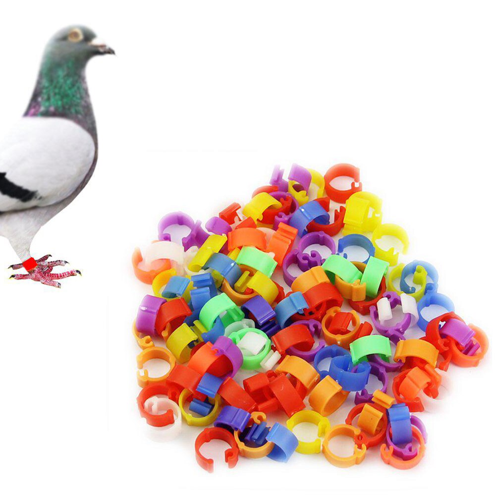 100 stk have 8mm fugle forsyninger tilbehør hjem tilfældig farve plast praktisk holdbar universal ring