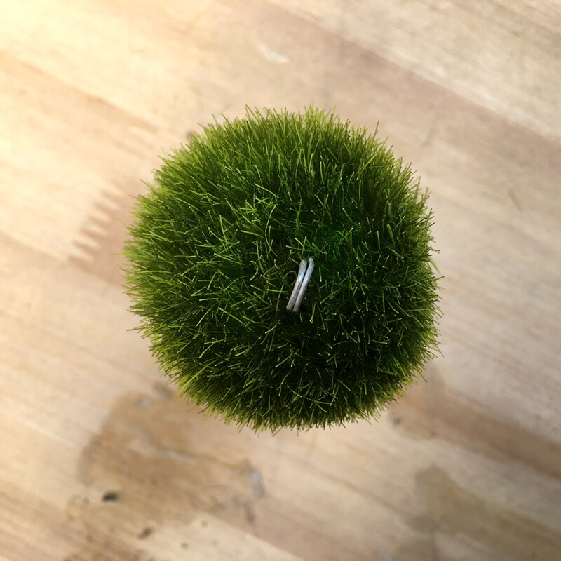 Wedding Favor Green Puffer Ball Topiary Photo Holder/Place Card Holder Garden Party