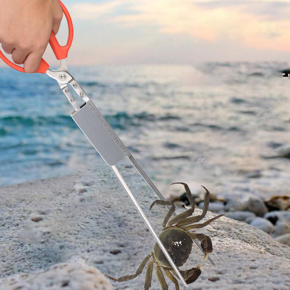Stainless Steel Crab Clamp Sturdy Eel Clamp Loach Clip Kitchen Accessory