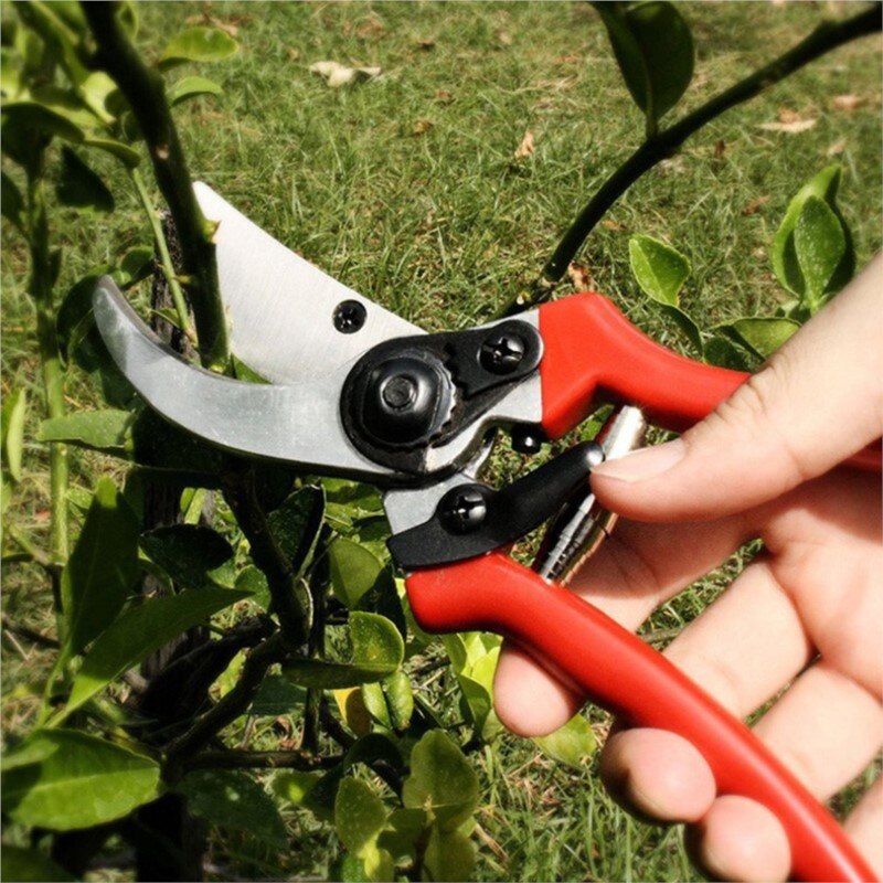 Tijeras de jardinería con mango rojo, herramienta para cortar frutas, granja, jardín, recolección de frutas, flores, agricultura