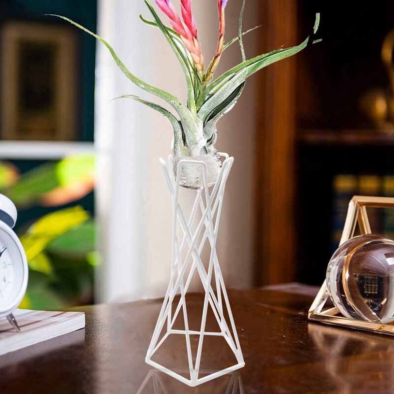 Stojak na rośliny powietrzne Tillandsia,Tabletop metalowe stojaki na rośliny powietrzne pojemniki na wiszącą oplątwa (Tillandsia) rośliny domowe