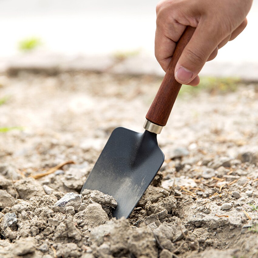 Trähandtag liten spade balkong plantering blommor ogräsrensning trädgårdsredskap hushåll köttiga krukor lös jord järn utgrävning spade