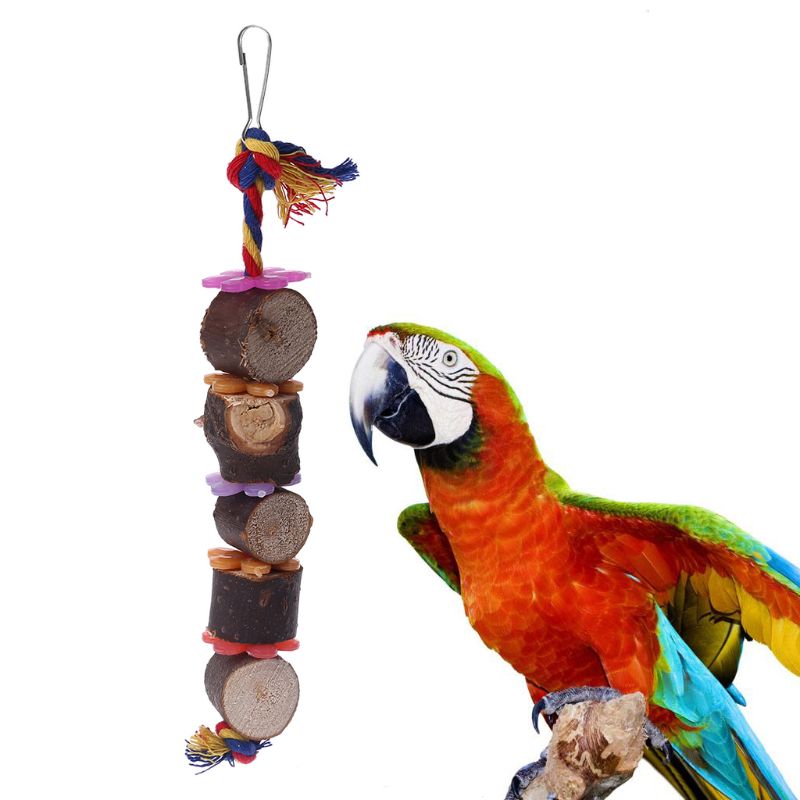 Kleurrijke Vogel Papegaai Speelgoed Bloem Houten Bite Speelgoed Met Bel Molaire Oefening Huisdier Speelgoed Vogels Levert C42