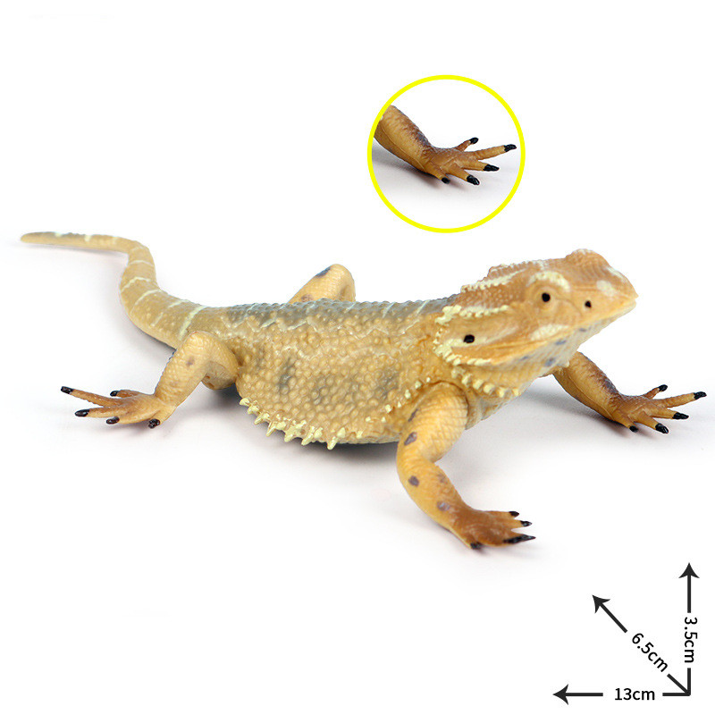 Lizard Figuur Simulatie Diermodel Collector Decor Amfibie Dier Model Hagedis Koelbloedige Reptiel Dieren Figuren