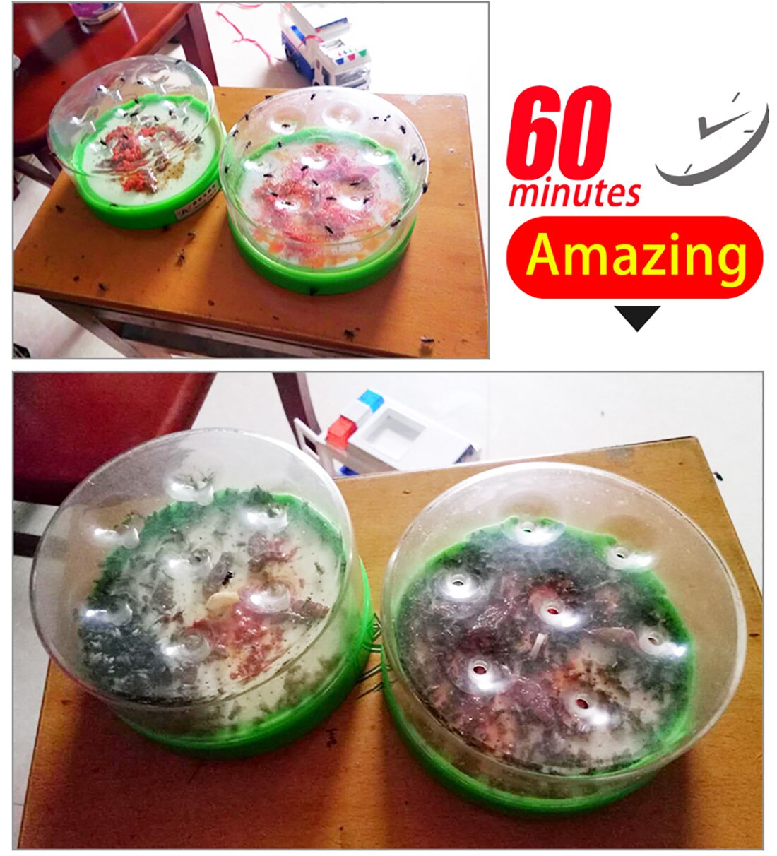 Newest Reusable Clear Green Killing Fruit Fly Catcher Flies Killer Flying Attractants Trap Destroyer Table