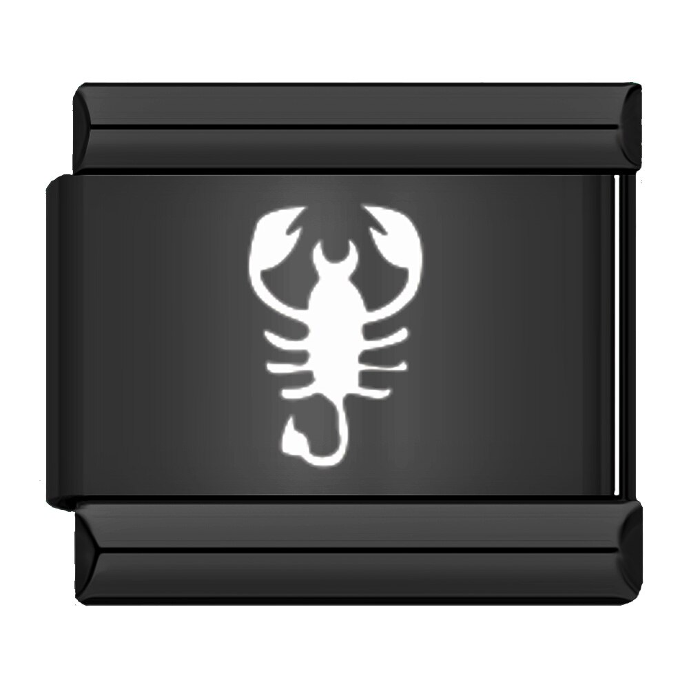Hapiship-abalorios originales de margaritas negras para pulsera, eslabones de 9mm, joyería de acero inoxidable, DJ353, 1 ud.: Scorpio