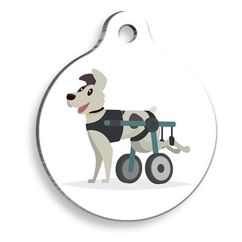 Bracelet rond pour chat et chien, chaise à roulettes
