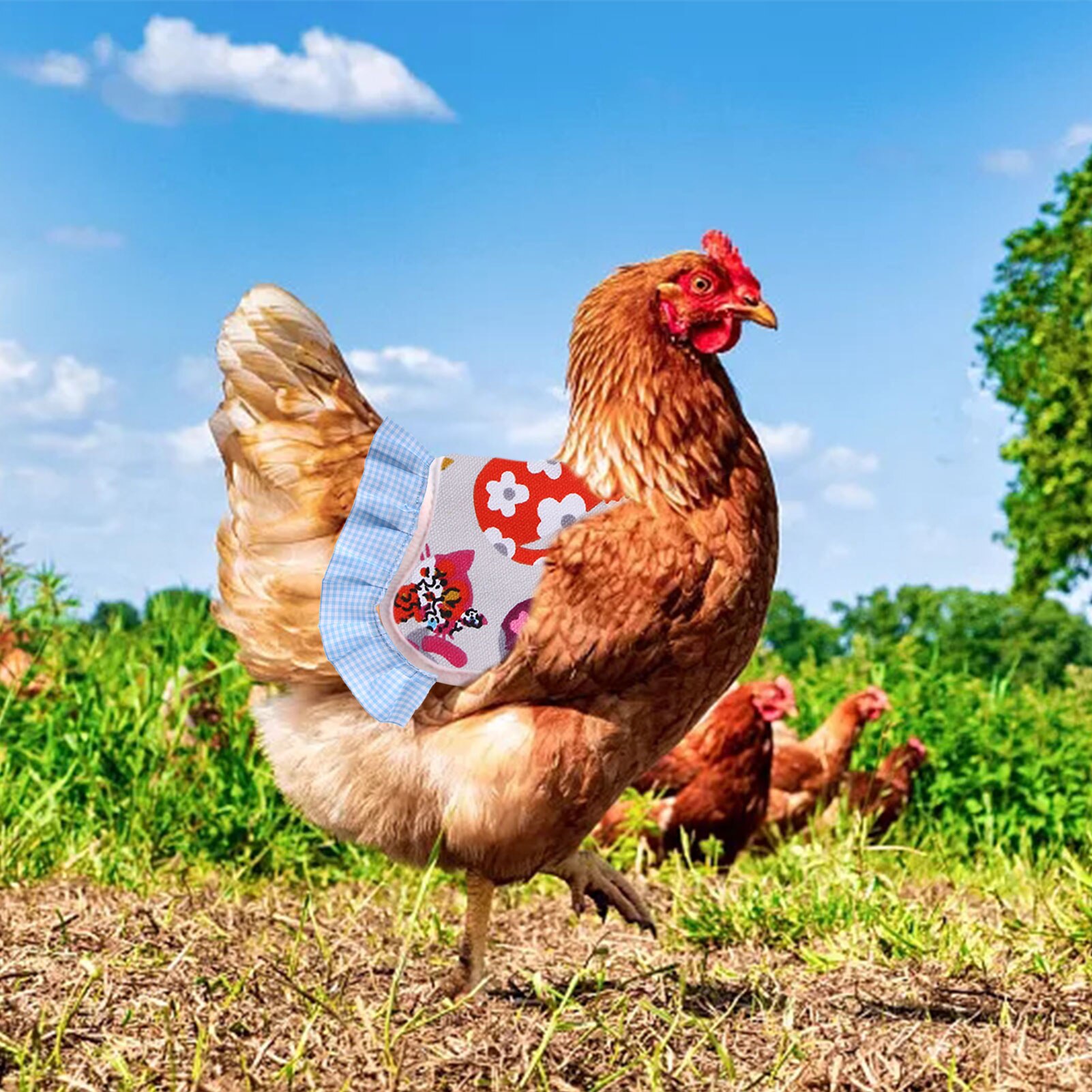 Chicken Protection Apron Chicken Duck Vest Chicken Saddle Clothing Feather Protection Jacket Elastic Lace Clothing Hen Saddle