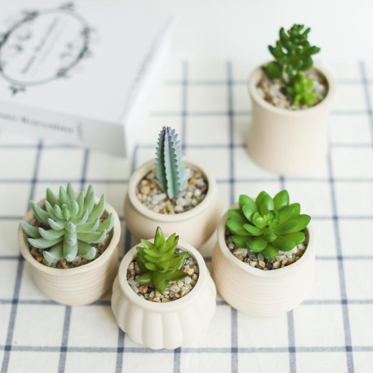 Macetas pequeñas de escritorio para hogar y oficina, maceta redonda gris para plantas, Mini soportes de cerámica para plantas, suculento de Cactus, macetas de flores
