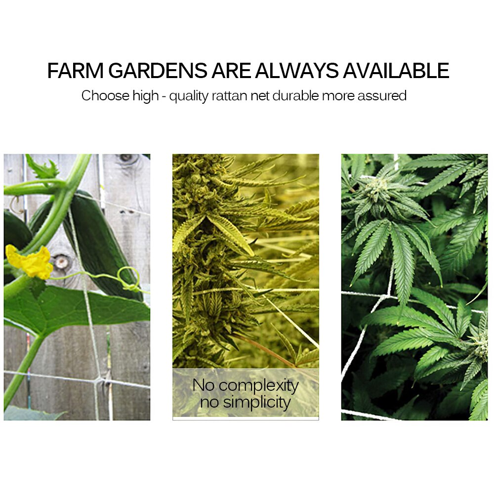 Plant Climbing Net Trellis Netting, Square Mesh Net Garden Netting Polyester Net Polyester Woven Stretchable Support Climbing