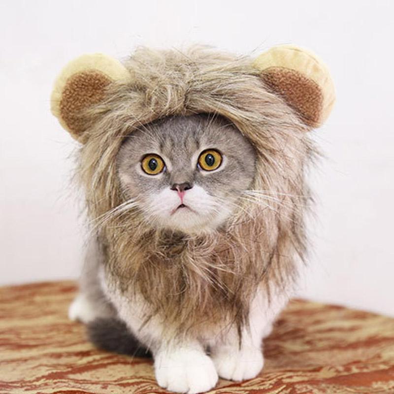 Futrzana czapka dla kota kostium w stylu lwa peruka dla kota Halloween śliczny kostium dla zwierząt z uszami imprezowe zwierze domowe kot akcesoria