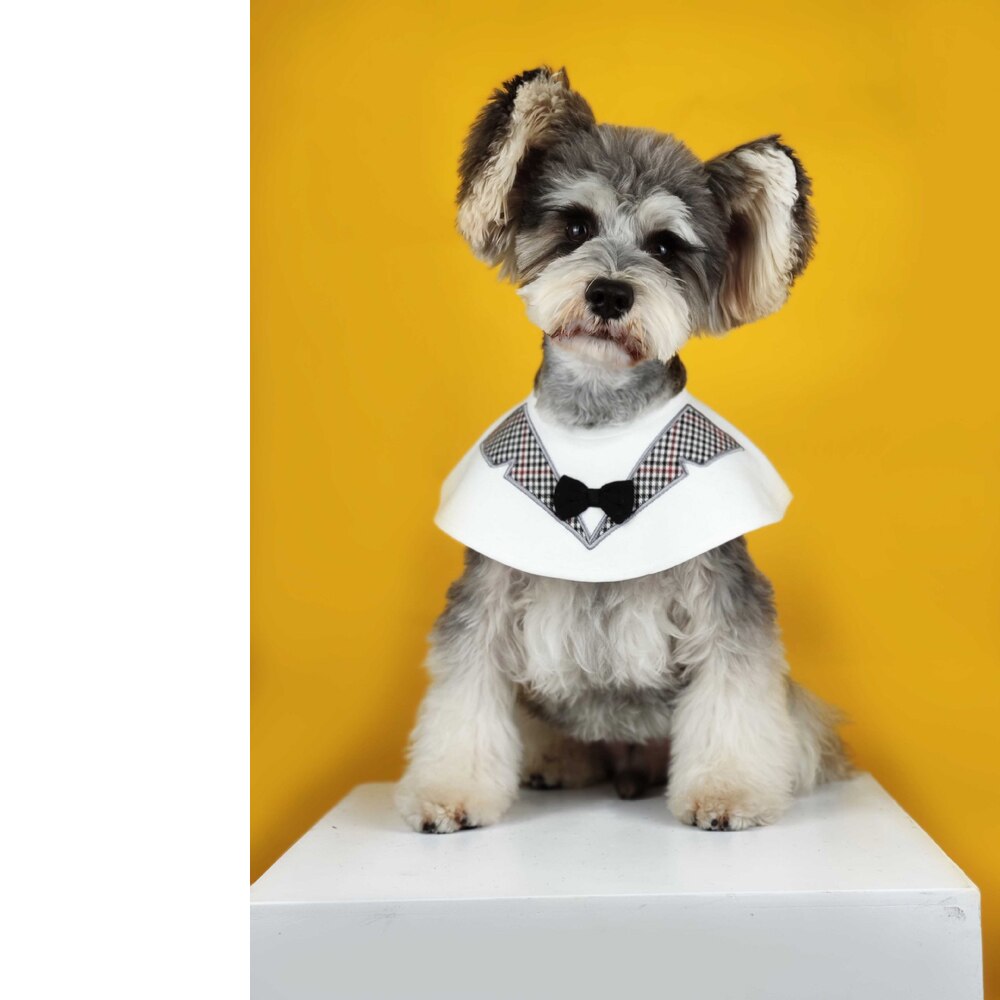 Vårhundbandasje valpekappe,bedårende hundesmekker triangualr bandasje,søt hundetilbehør chihuahua schnauzer bulldog mopper