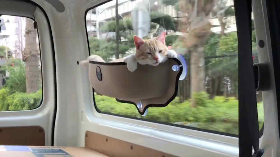 Cat Window Bed, Cat Window Perch, Cat Car Hammock Sunny Seat Lounger with 4 Suction Cups Cat Resting Sofa Safe Sunbath