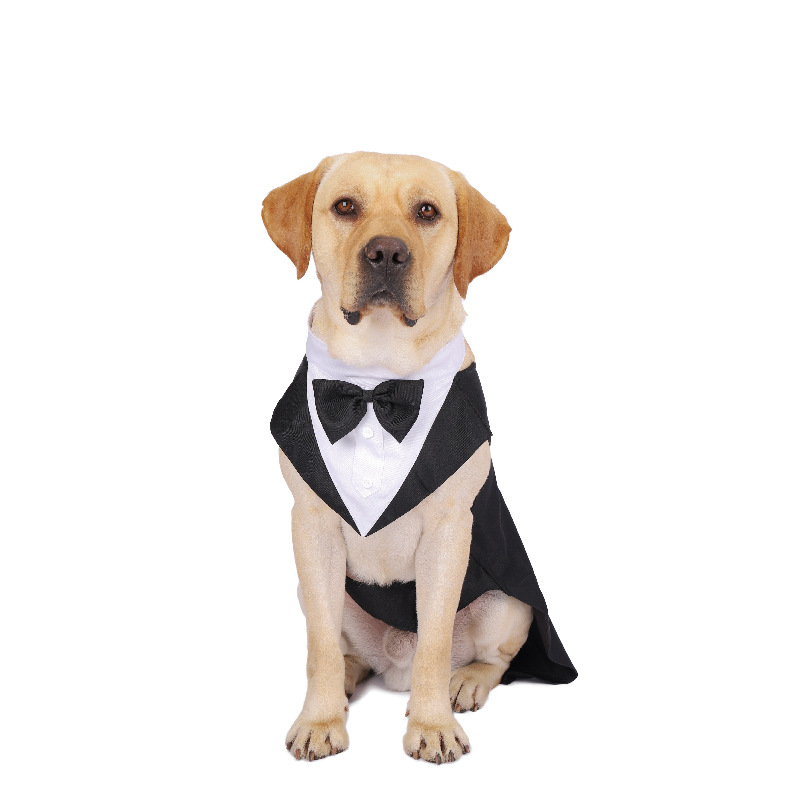 Haustier-Hundekleidung, modisch, Party, Show, formeller Anzug, Krawatte, Schleife, Hemd, Hochzeit, Rauchen, Halloween-Kleid für kleine und große Hunde