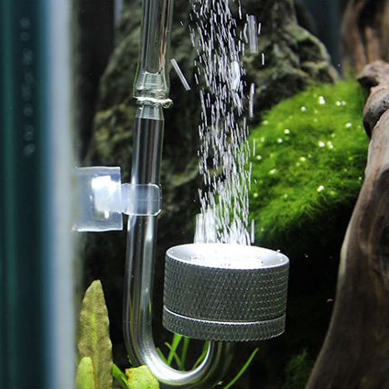Sæt  co2 diffusor forstøver regulator reaktor til akvarium akvarie plante mos