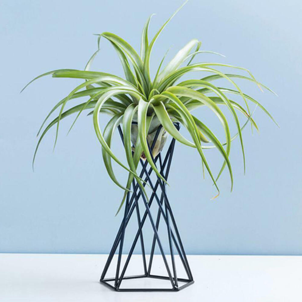 Nordic Stijl Air Plant Houder Metalen Bloempotten Stand Geometrische Ijzer Tillandsia Houder Tafel Thuis Tuinornamenten