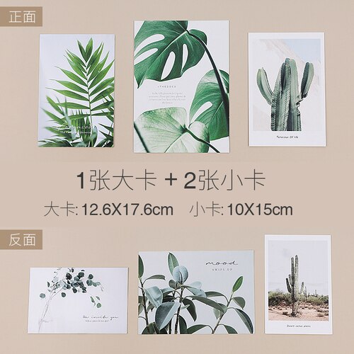 3 stk 10cm x 15cm retro gammelt grønt blad papir fotobakgrunn ins foto rekvisitter fotografering bakgrunnspapir