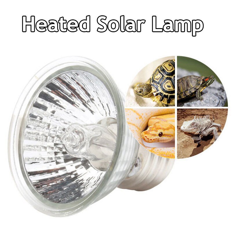25/50/75W Reptile Lamp Pet Heat Lamp Bulb Turtle Basking UV Light Bulb Sunbathing Lamp Sun Lamp Temperature Controller