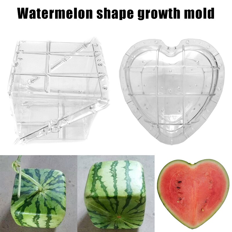 Watermelon Shaping Grow Mold Growth Forming Mold Fruit Shaping Mould Vegetable Growing Mould