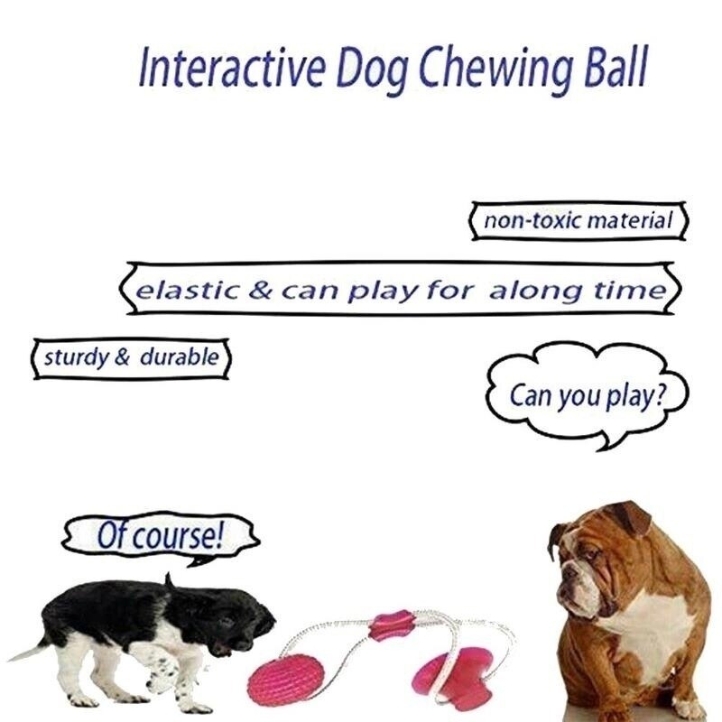 Dog Toys Rubber Suction Cup Dog Toys Pet Tug Funny Toy Chewing Teeth Cleaning Puppy Animal Toy Tug Rope Holder Pet Supplies