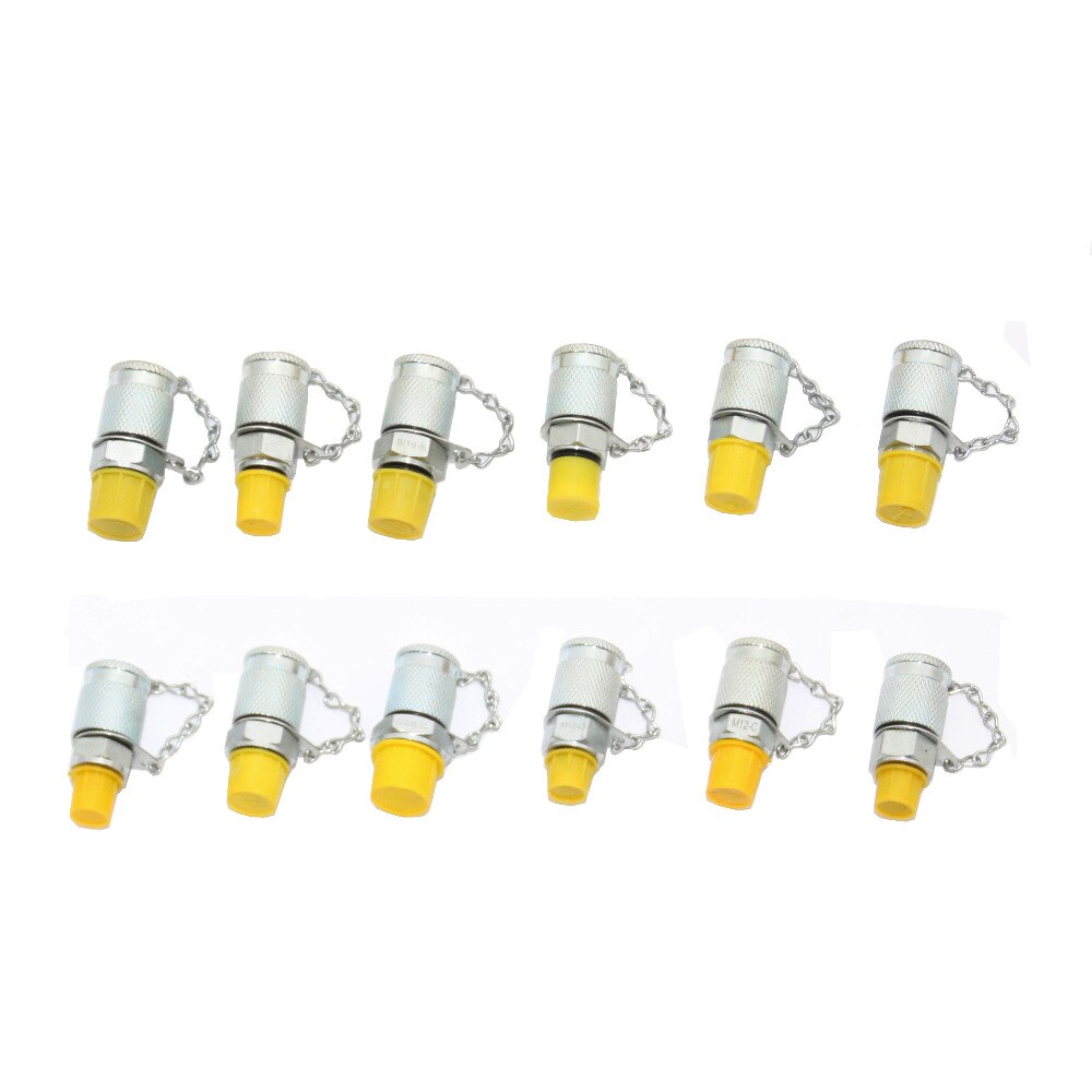 60MPa/600BAR HYDRAULIC TEST POINT, Hydraulic test coupling,Test Adapter