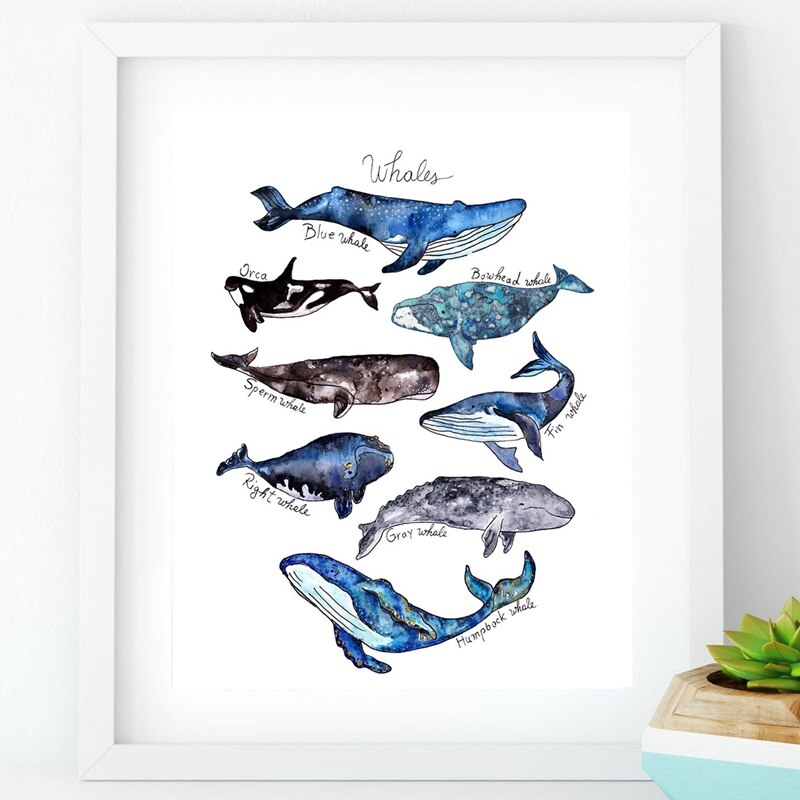 Whale Print Nursery Wall Art Shark Poster Beach Nautical Wall Picture Decor Retro poster kraft paper: Black / 21x30cm No Frame