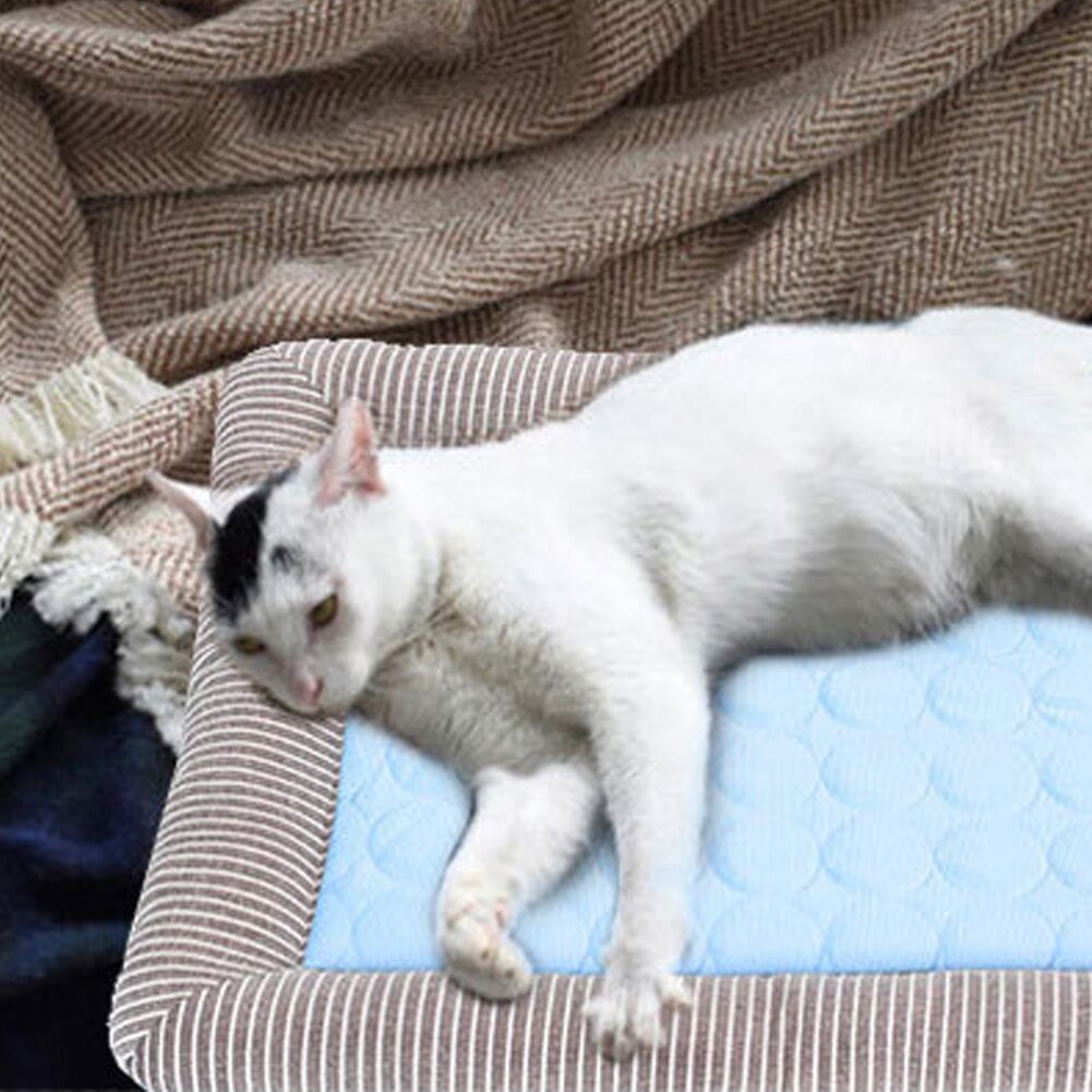 Huisdier Koeling Pad Hond Koeling Zomer Slaapmat Katten Cooling Deken Ijs Zijde Puppy Slapen Matras Kat Bed Huisdier Kussen pad