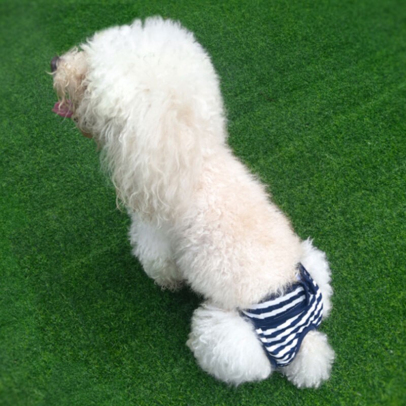 Hund Physiologischen Hosen Hunde frauen Belästigung kurze Hose Höschen für Weibliche Hunde Katzen Menstruation rutscht Unterwäsche Kleidung