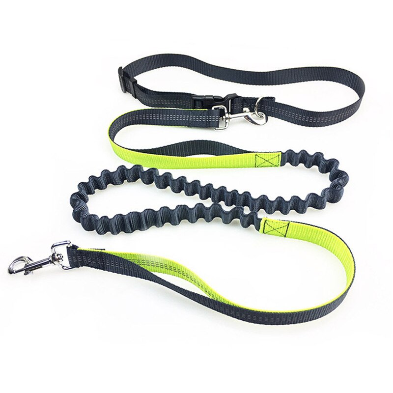 Hond Wandelen Leash Handen Gratis Elastische Taille Hondenriemen Running Jogging Hond Lood Kraag Verstelbare Nylon Reflecterende Leash