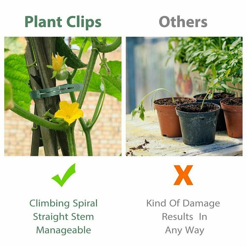 Non Toxic And MultiFunctional Spring Loaded Garden... – Grandado