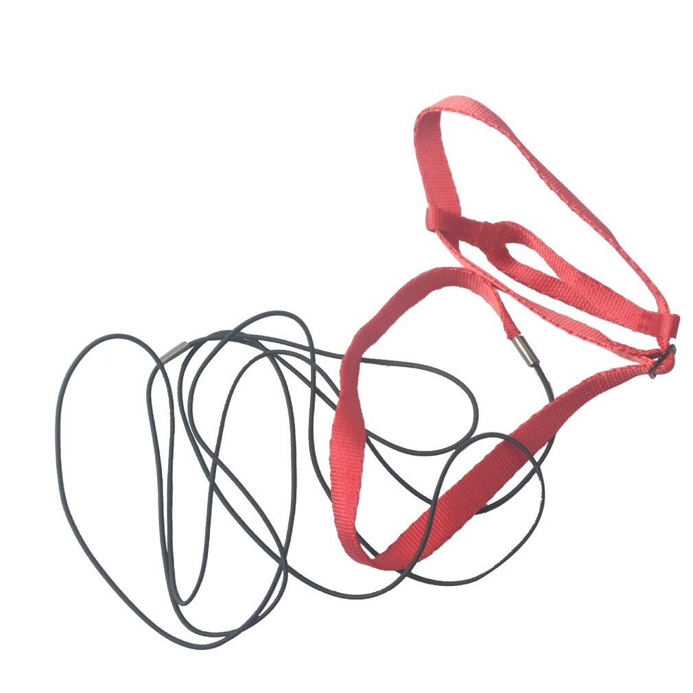 Nylon Verstelbare Bird Harness Duurzaam Elastische Stof Ademend Training Vest Vogel Veilig Harnas Papegaai Kaketoe Levert