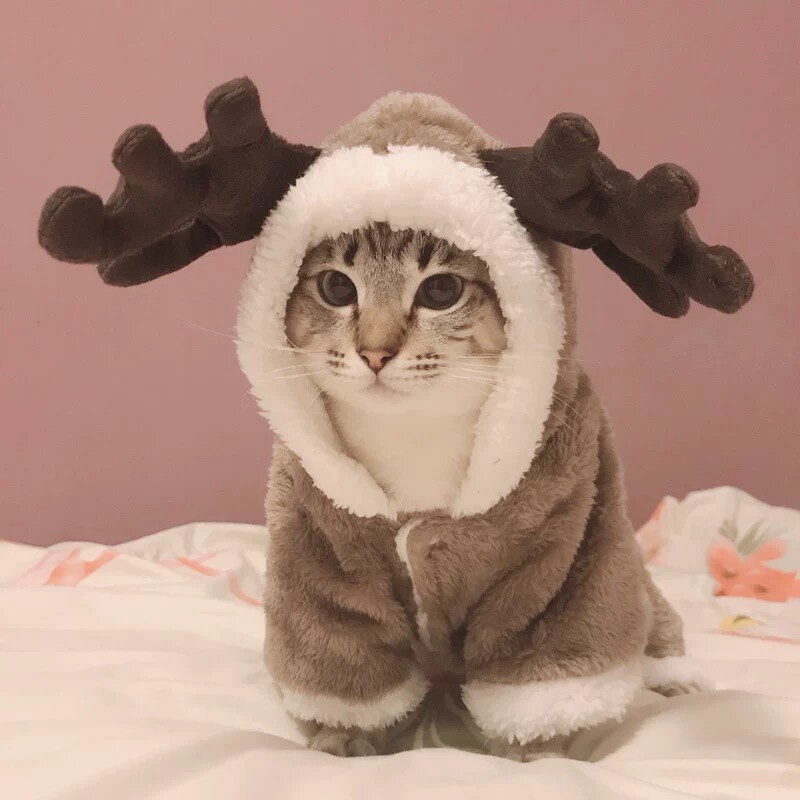 Vestiti per gatti di natale Costume da compagnia in pile caldo per piccoli gatti tute da gattino abbigliamento cappotto da gatto giacca animali domestici vestiti per cani