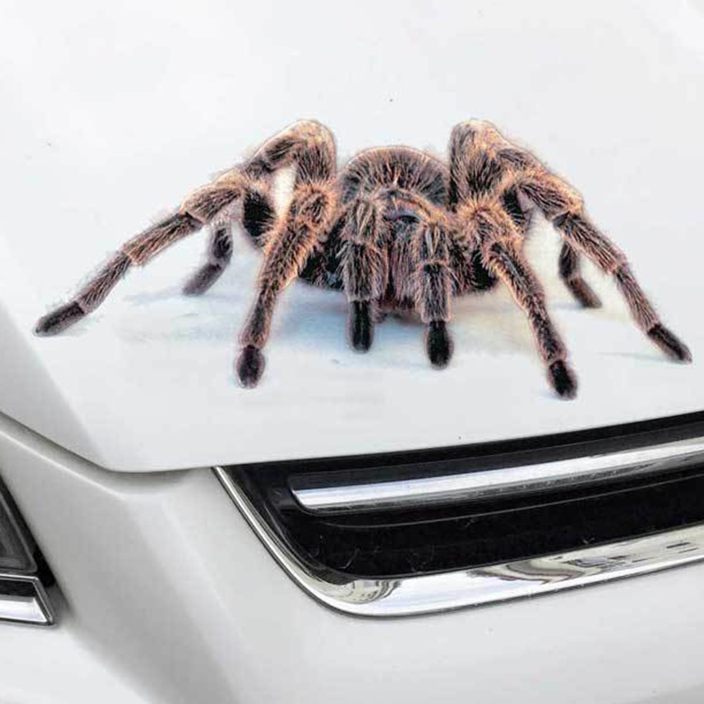 3d edderkop bil klistermærker og klistermærker dyr levende skorpion firben sjove klistermærker på auto stribe diy bil styling klistermærke tilbehør