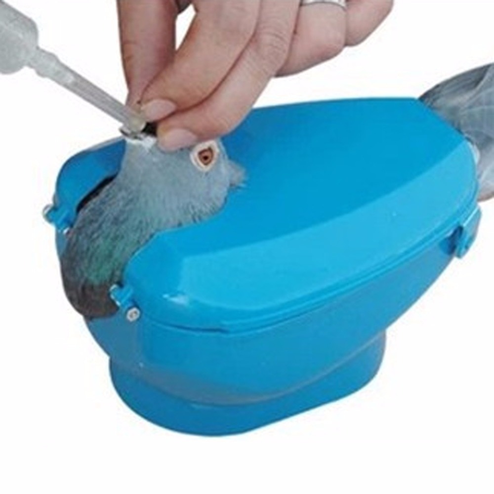 Due værktøj fast kasse foder due givet medicin enhed blå due udstyr fugleholder