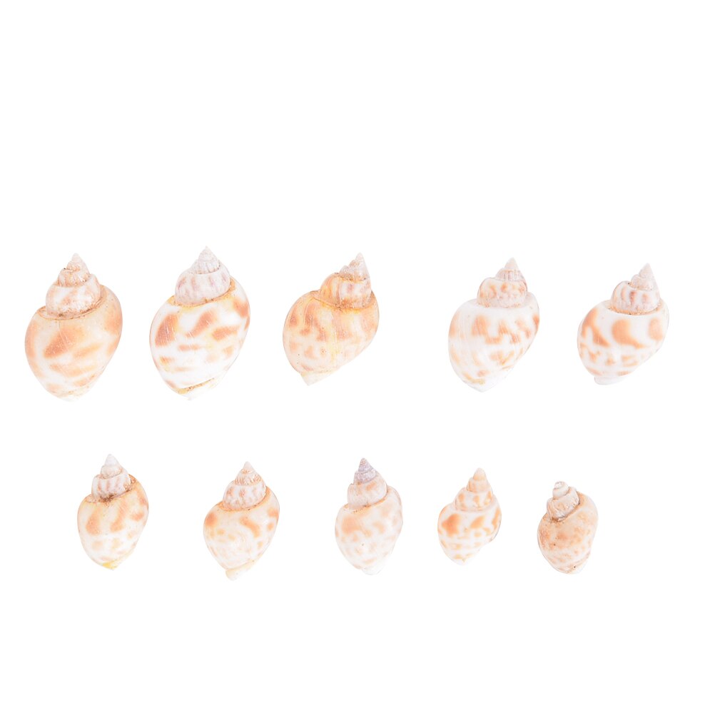 Aquarium Gemengde Bulk Schelpen Sier Strand Shell Tafel DIY Decor Craft