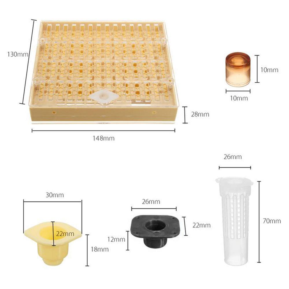 131pcs Beekeeping Tool Set Bee Cultivation Cage Beekeeping Incubator Cell Plastic Bee Cups Kit Queen Bee Rearing Set