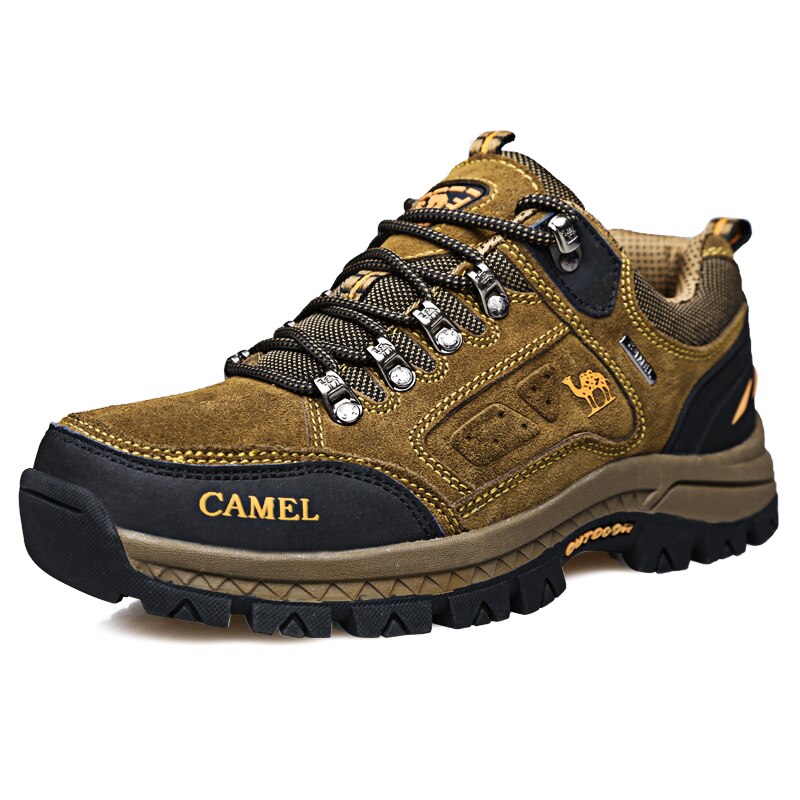 Premium Wear Calze Da Lavoro Resistenti | 12 Paia Imbottite | Antibatteriche E Traspiranti | Taglia Unica 40-45