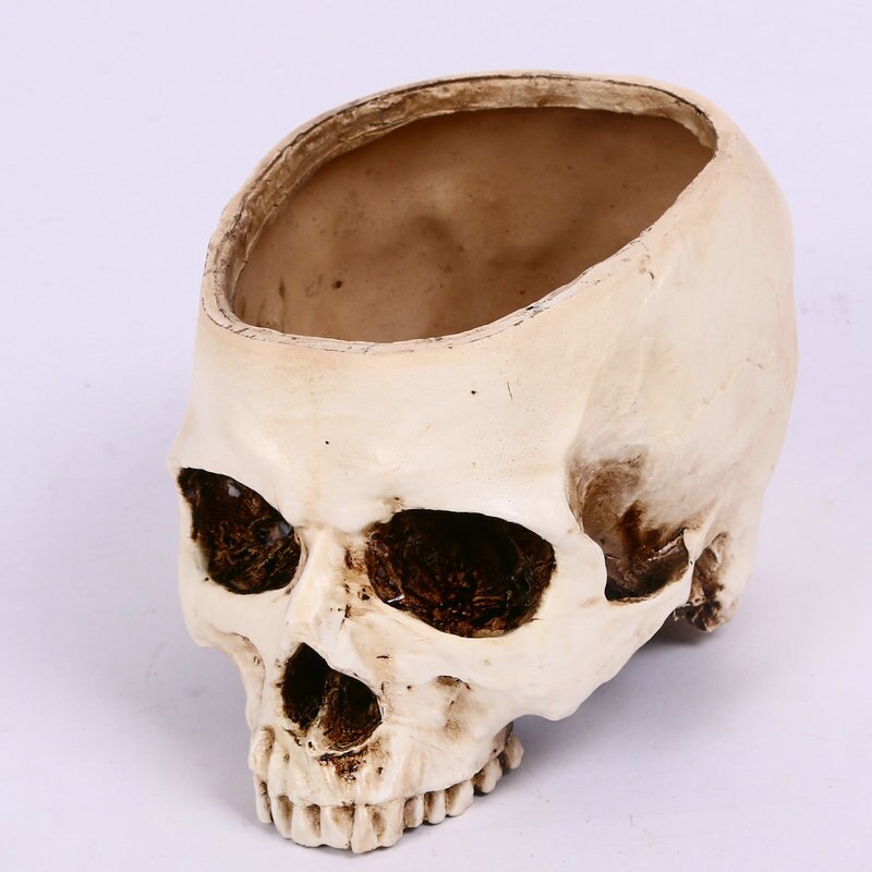 Pot de fleur multifonctionnel plaque de fruits réservoir de stockage grand crâne humain anatomie squelette anatomique du cerveau crâne explosé