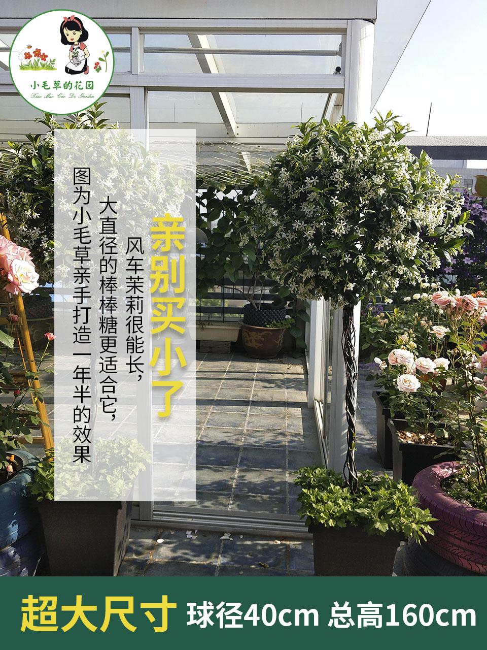 600 blau Schneeflocke Windmühle Jasmin Klematis Lutscher Stand Eisen Sphärische Garten Blume Stehen Klettern Stehen