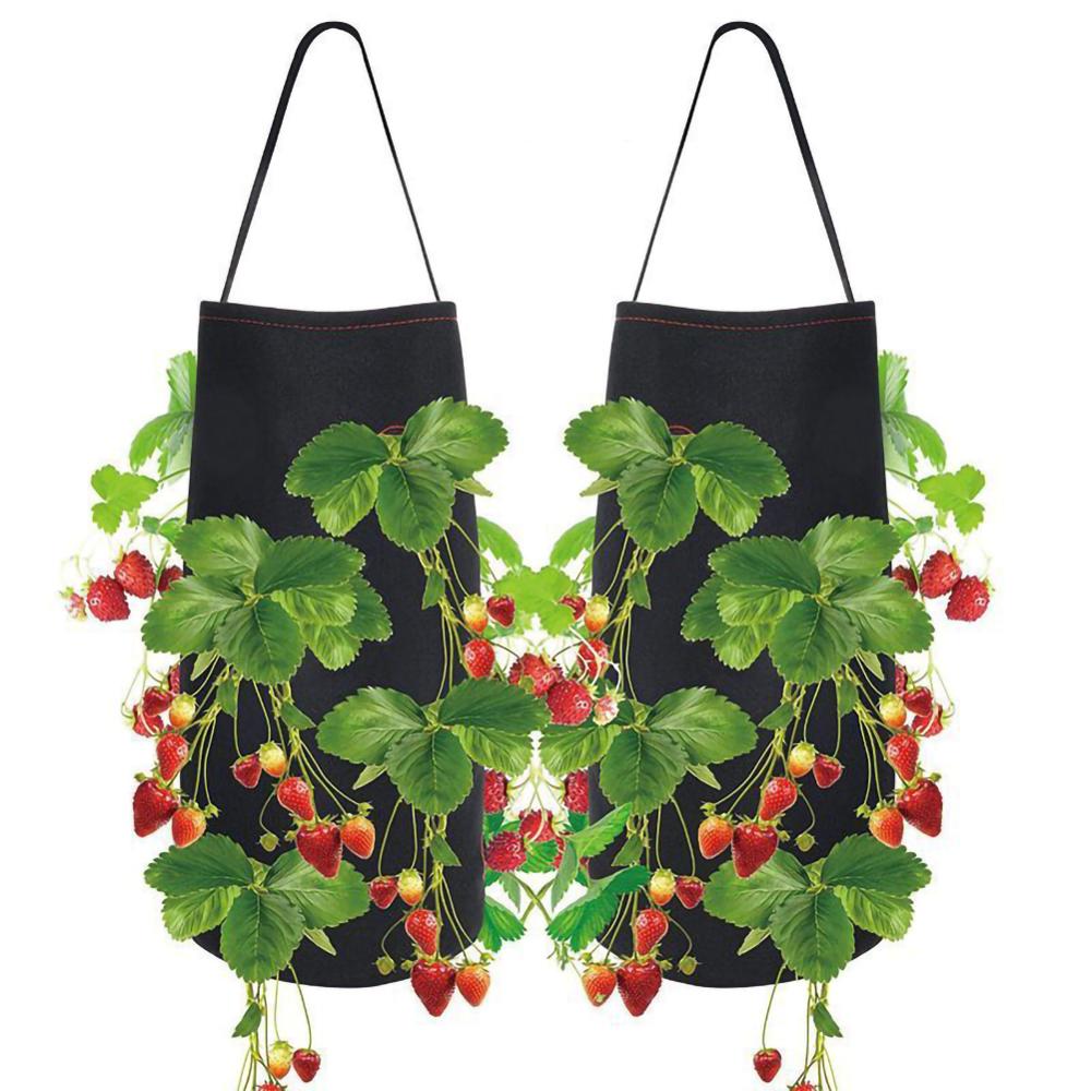 Morango plantio crescente saco diy pe tecidos recipiente sacos crescer plantador bolsa raiz bonsai planta pote jardim suprimentos
