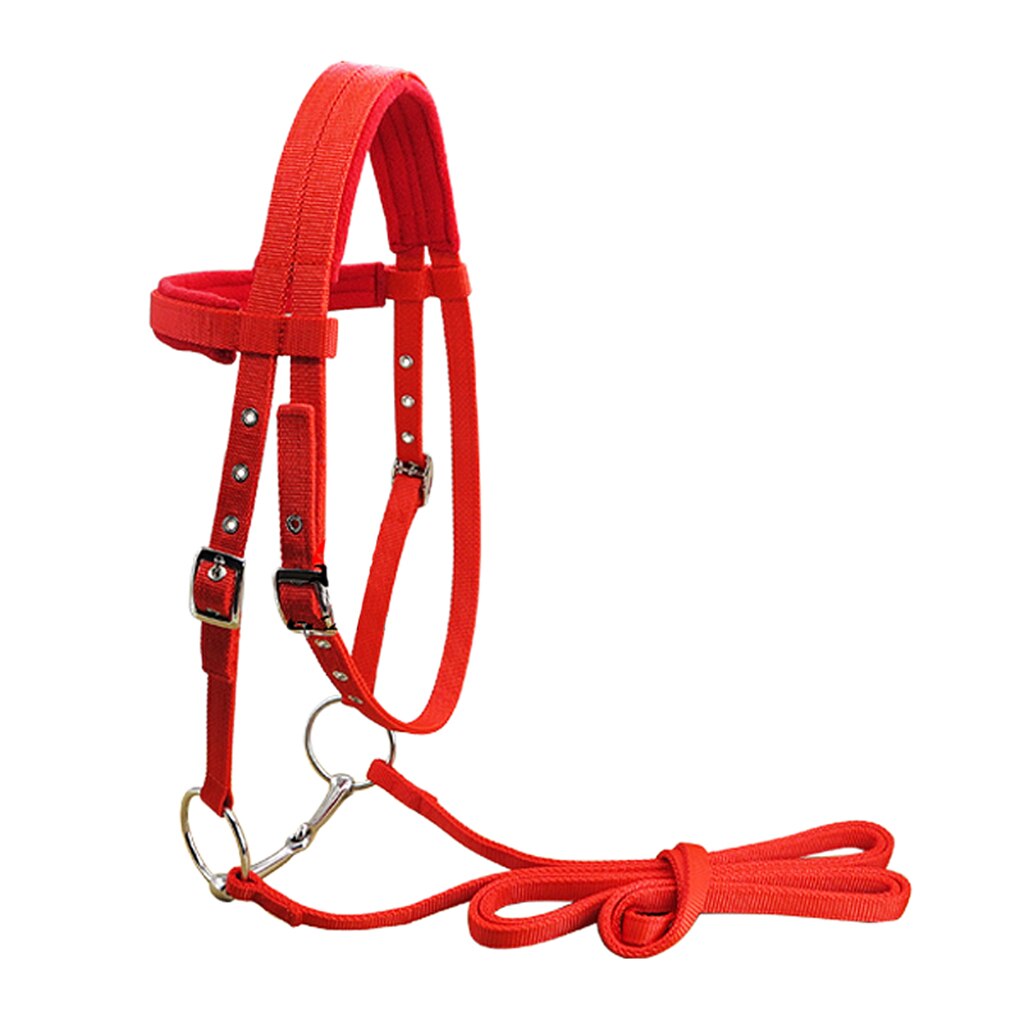 Hållbart hästtyg hästtyglar headstall förtjockat grimma ridutrustning 3 justerbara spännutrustning för häst