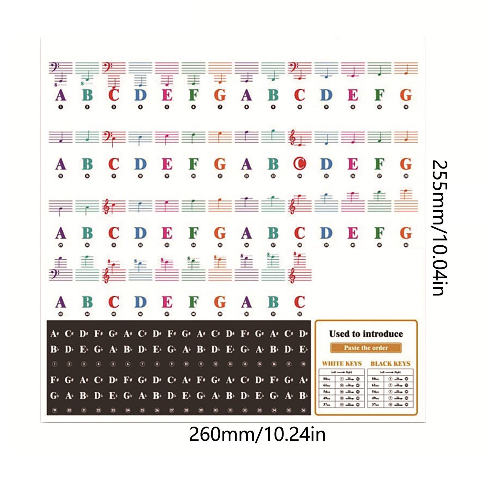 25/49/61/76/88 Color Transparent Piano Keyboard Stickers Electronic Keyboard Key Piano Stave Note Sticker Symbol For White Keys