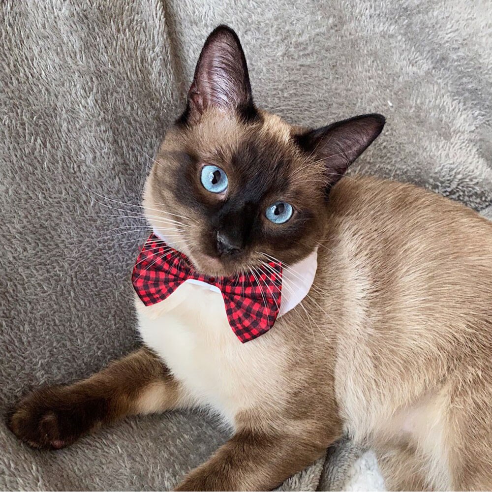 Flugor för husdjur klassiskt rutigt tryck kattfluga justerbar fluga krage för katter små valpar hundar kattunge kläder tillbehör