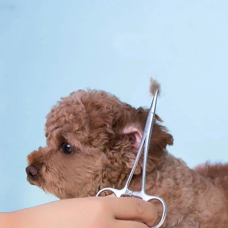 Pinzas de pelo de oreja de nariz de perro de acero inoxidable, pinzas de bloqueo hemostático, rectas y curvadas con sujeción de mandíbulas dentadas, alicates de pesca