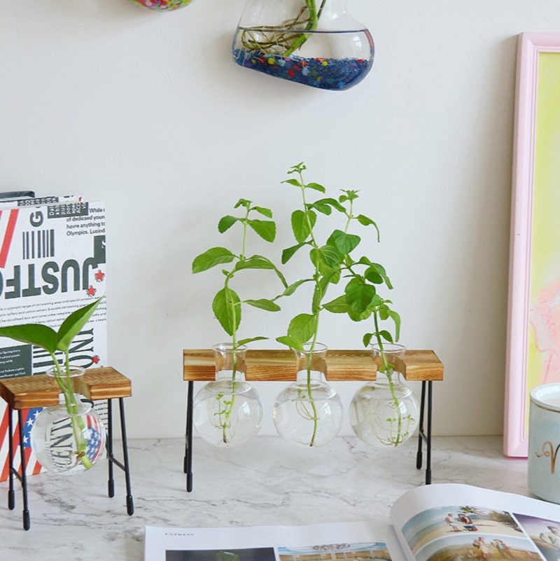 Florero de vidrio para plantas hidropónicas, marco de madera para cafetería, jarrón de decoración, terrario, bonsái para el hogar, estación de decoración