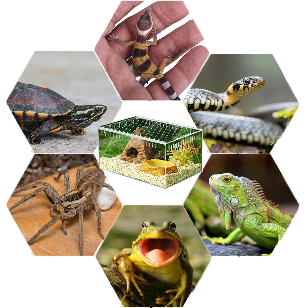 Reptil avl boks akryl gjennomsiktig skyvedekke reptil tank insekt edderkopper skilpadde øgle fôring boks terrarium