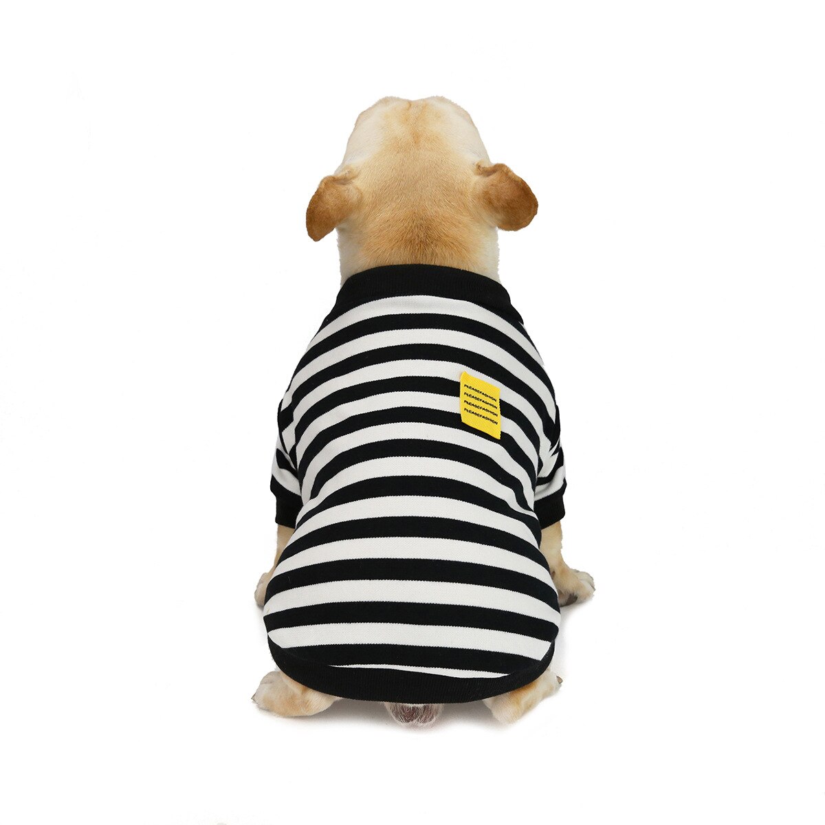 Ropa de perro francés ropa para bulldog mascota sudadera otoño invierno abrigo para mascota traje Casual ropa de perro pequeña chaqueta para perros: Negro / XXL